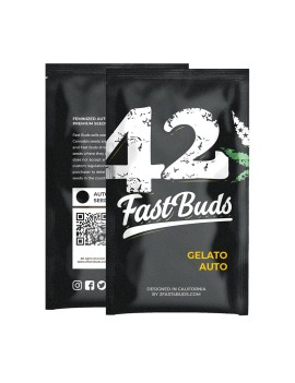 Coche de helado - FastBuds