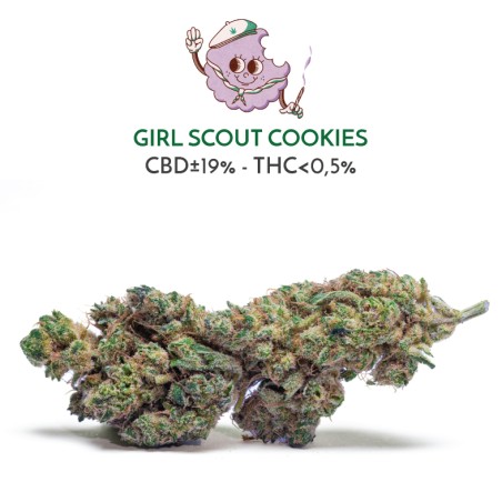 Girl Scout Cookies (CBD) - Sir Canapa