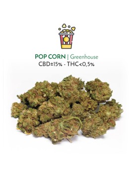 Pop Corn Greenhouse (CBD) -...