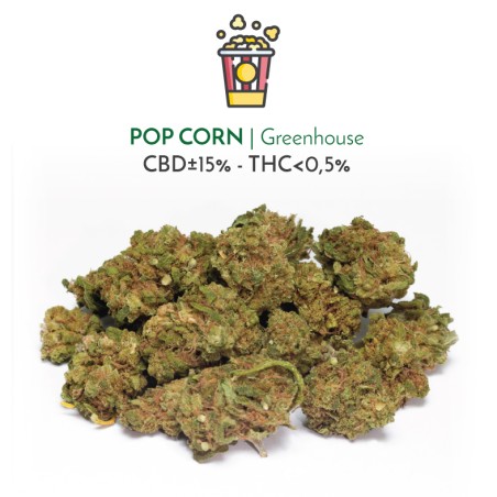 Pop Corn Greenhouse (CBD) - Sir Canapa