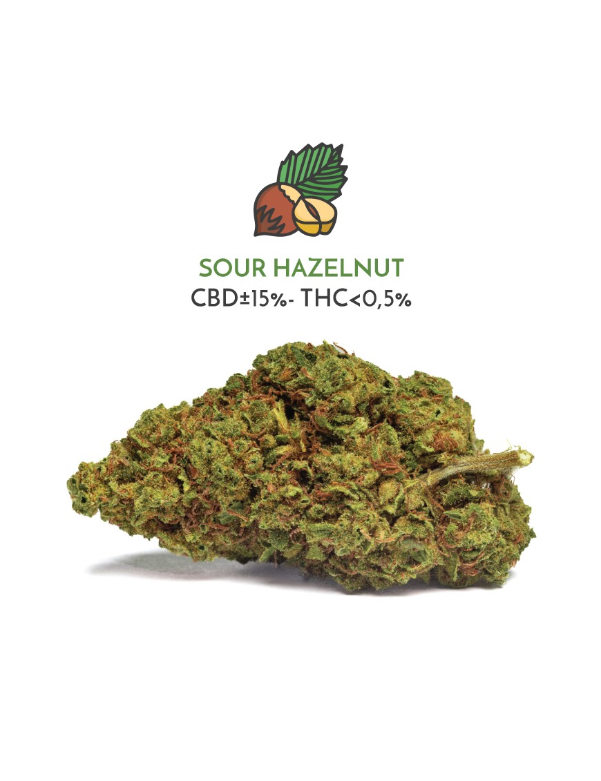 Sour Hazelnut (King Size CBD) - Sir Hemp