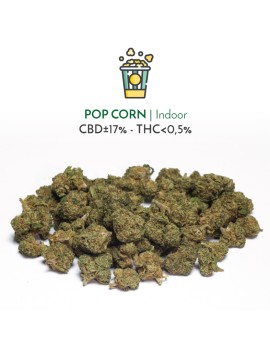 Pop Corn Indoor (CBD) - Sir Canapa