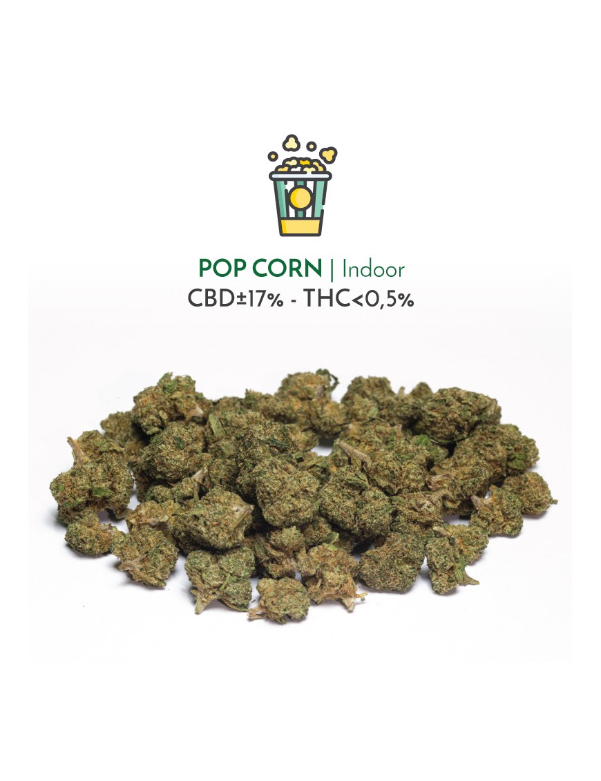 Pop Corn Indoor (CBD) - Sir Canapa