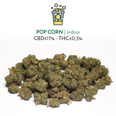 Pop Corn Indoor (CBD) - Sir Canapa