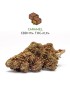 Caramel (King Size CBD) - Sir Hemp