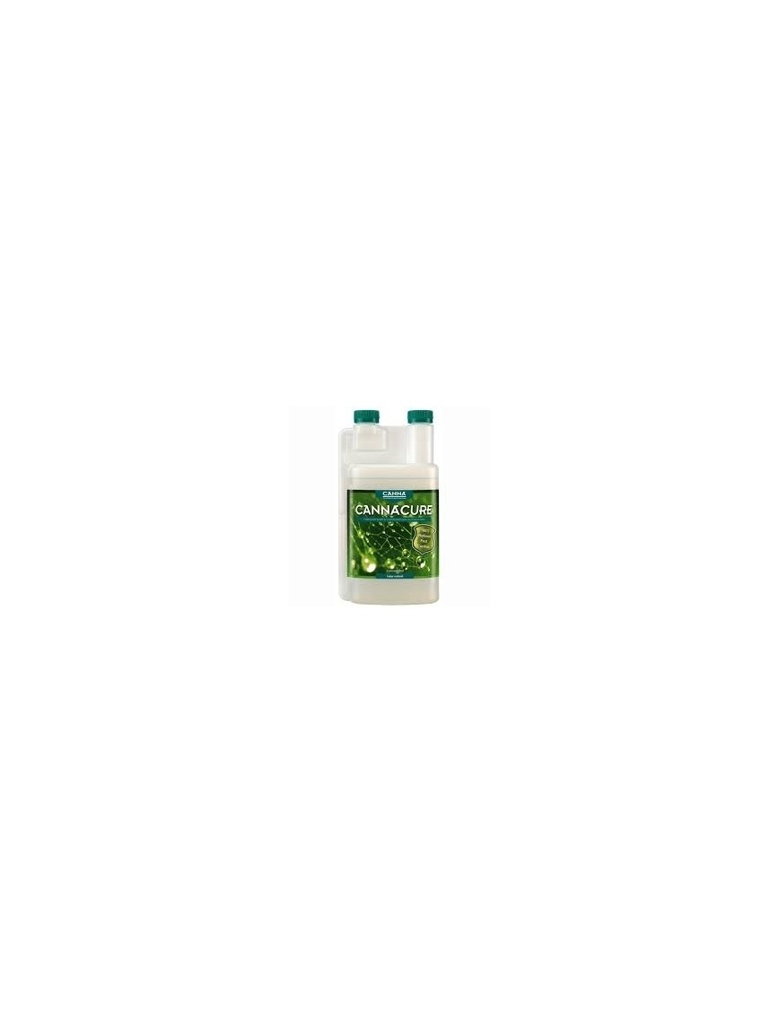 Canna Cure Ricarica 1L