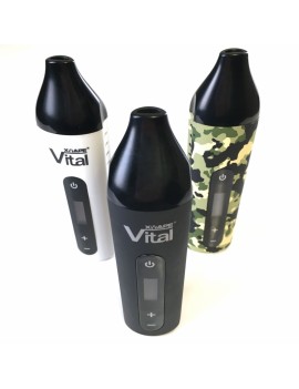 Vaporizador - XVape Vital