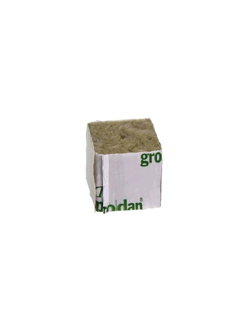 Roccia lana 4x4x4 para Germination - Grodan