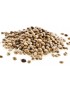 Antal - Industrial Hemp Seeds