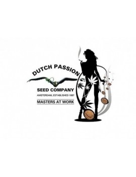 Dutch Passion - Mühle 4...