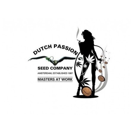 Dutch Passion - Grinder 4 sezioni