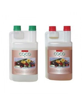 Cocco A+B 2X - Cannabis