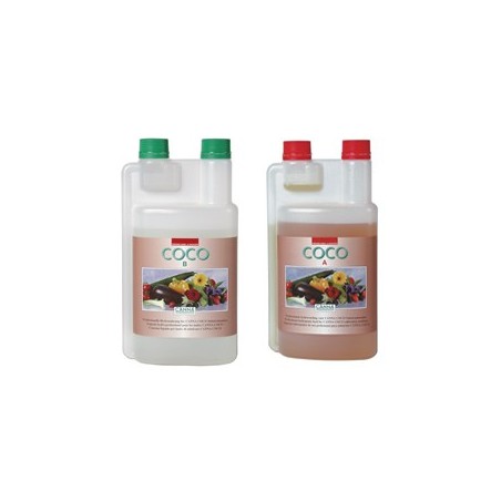 Cocco A+B 2X - Canna