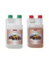 Cocco A+B 2X - Canna