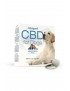 CBD Fliesen für Hunde - Cibapet