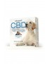 CBD Fliesen für Hunde - Cibapet