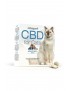 CBD Pads für Katzen - Cibapet