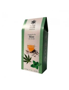 Té CBD para Infusión (Mint) - Planta de Vida