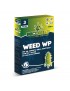 Bioestimulante con Micorrize para la Prevención de Enfermedades Fungal, Weed WP Fase 3 Previene - Micohemp