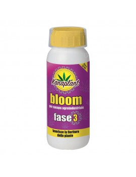 Bloom Phase3 500gr - Kanaplant