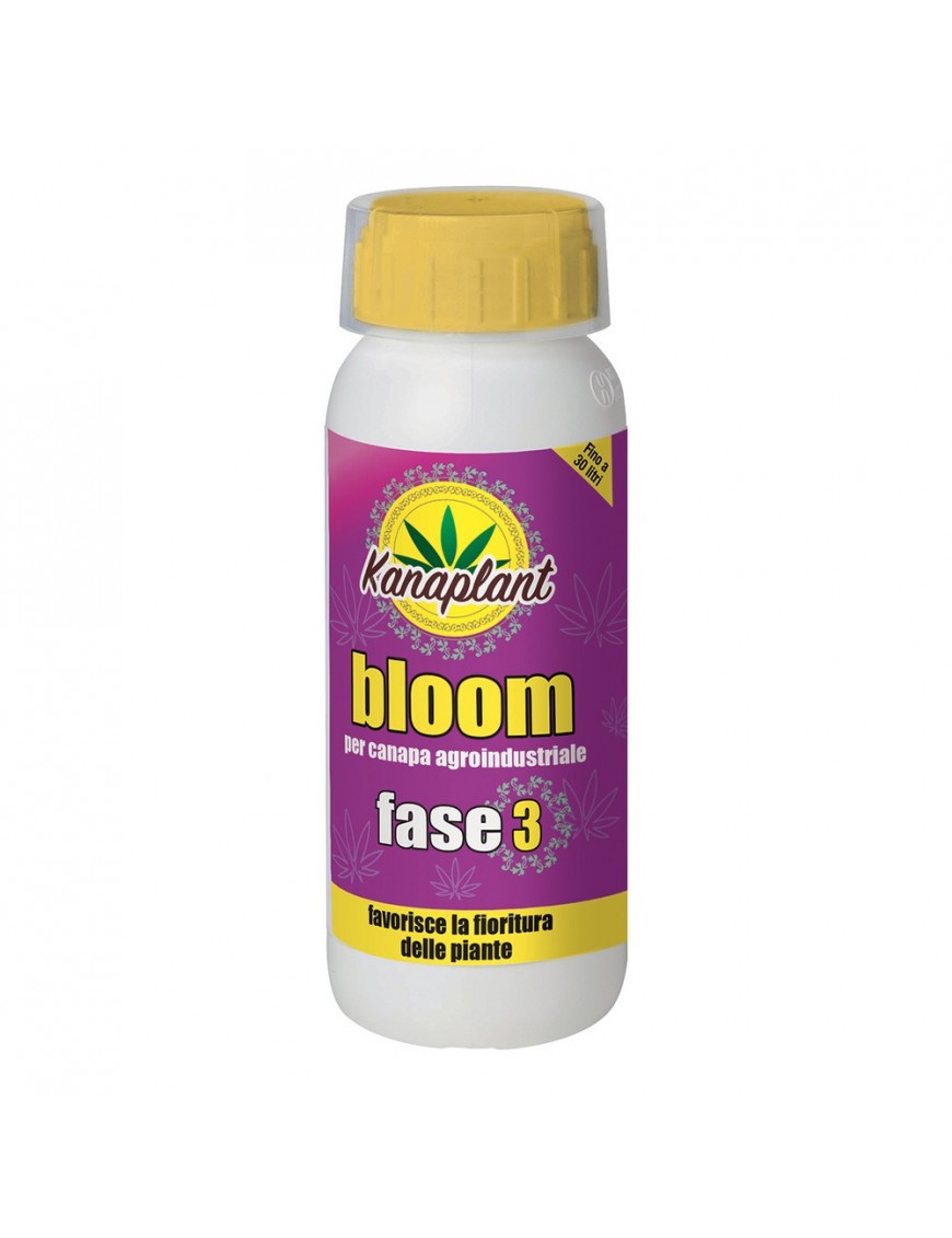 Bloom Phase3 500gr - Kanaplant