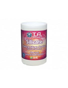 Silicate 1Kg - Terra...