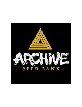 Té de Jengibre - Archive Seedbank