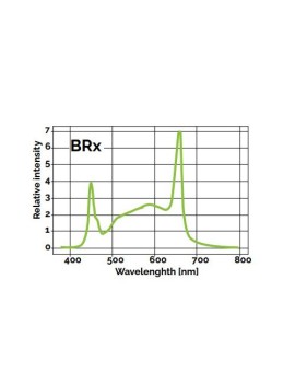 Taurus - TRS200 BRx Full Spectrum - Igrox