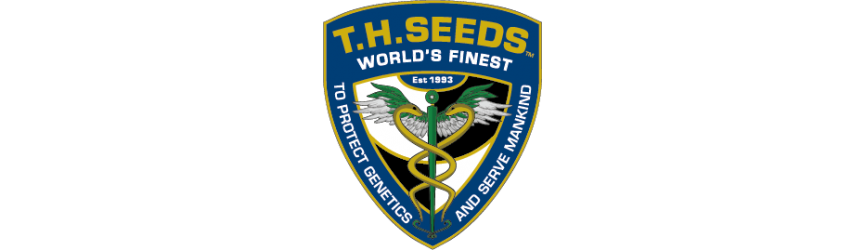 T:H Seeds - Autofiorenti