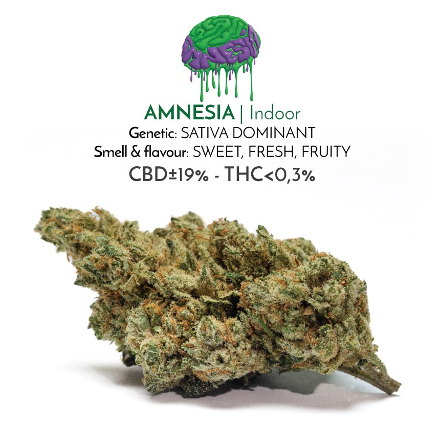 Amnesia light cannabis flowers with CBD