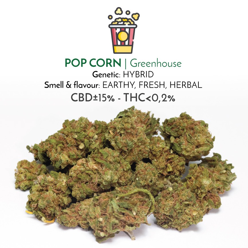 Pop Greenhouse light cannabis flowers with CBD