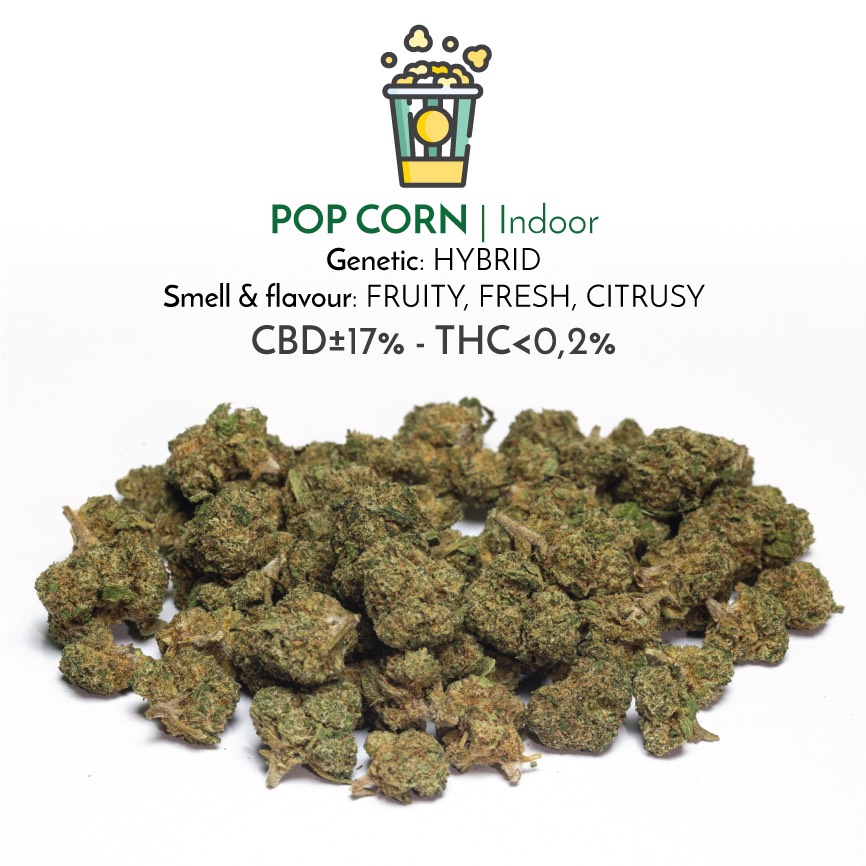 Pop  corn Indoor leichte Cannabisblüten mit CBD