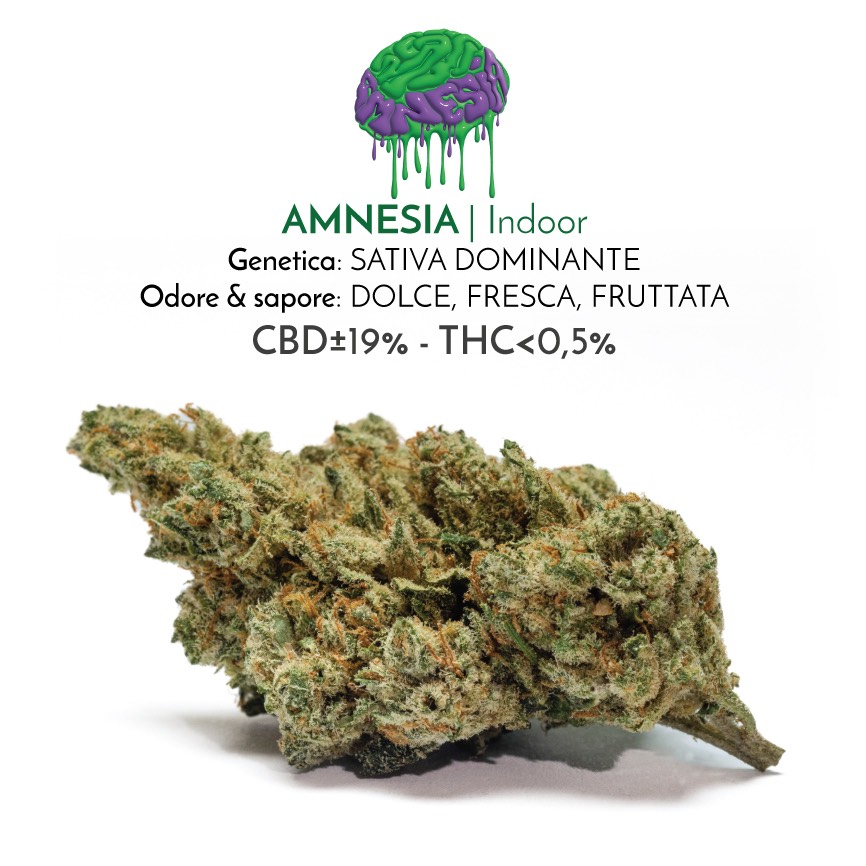 Amnesia fiori di cannabis light con cbd