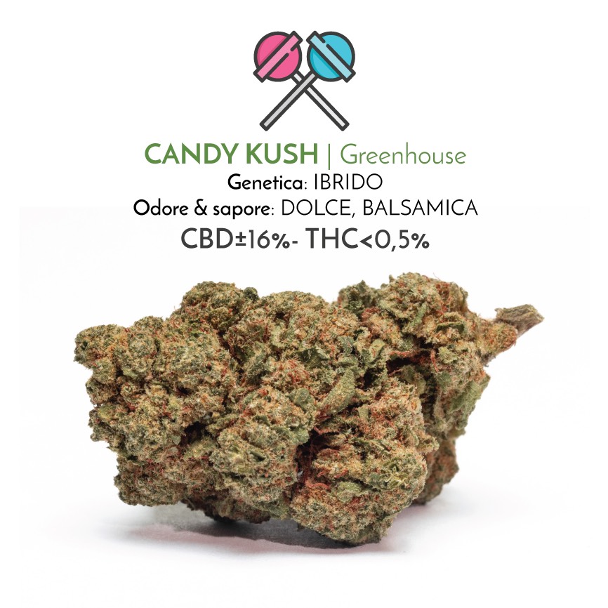 Candy Kush fiori di cannabis light con cbd