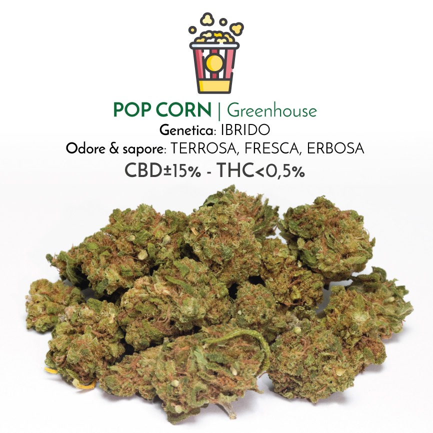 Pop Greenhouse fiori di cannabis light con cbd