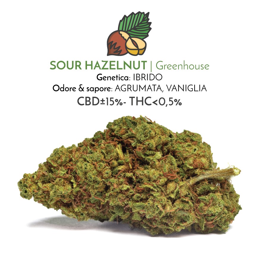 Sour Hazelnut fiori di cannabis light con cbd